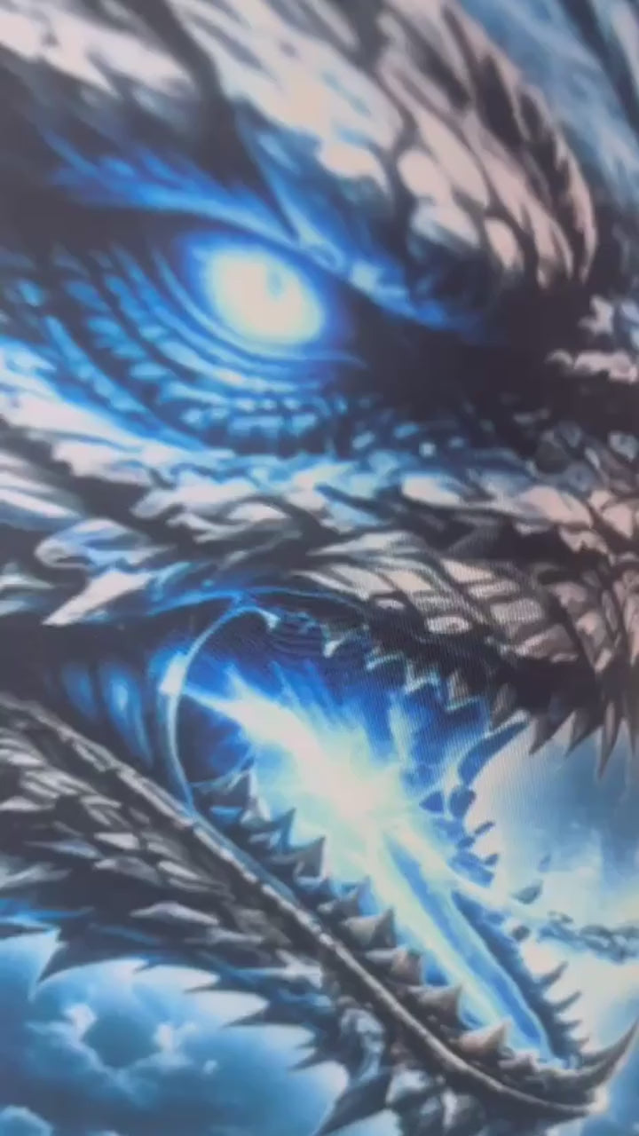 Camiseta Manga Longa Dragão Elemental